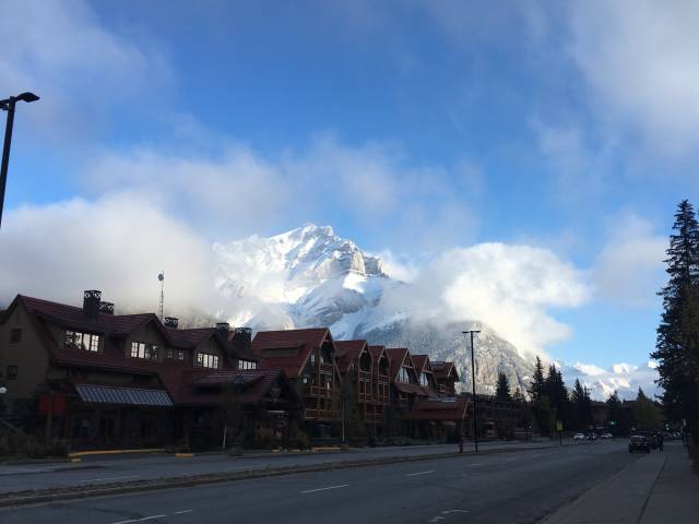 daily picdump weekend edition 74 pics 14.html - 74 HD Photos | Premium Gallery 2016