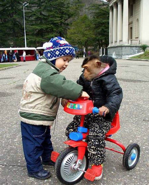 daily picdump weekend edition 74 pics 14.html - 74 HD Photos | Premium Gallery 2016