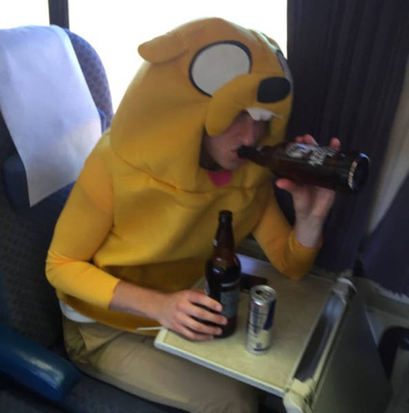 daily picdump weekend edition 74 pics 14.html - 74 HD Photos | Premium Gallery 2016