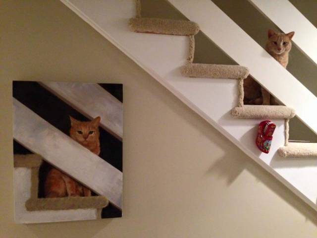 daily picdump weekend edition 74 pics 14.html - 74 HD Photos | Premium Gallery 2016