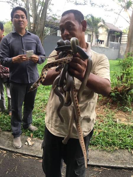 daily picdump 88 pics 41.html - 88 HD Photos | Premium Gallery 2016