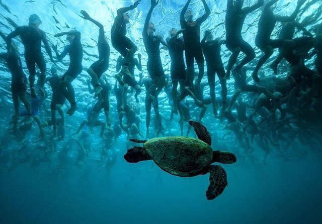 daily picdump 88 pics 41.html - 88 HD Photos | Premium Gallery 2016