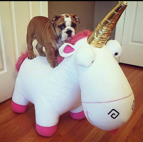 daily picdump 88 pics 41.html - 88 HD Photos | Premium Gallery 2016