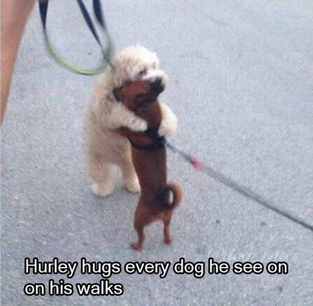 morning picdump 57 pics 3.html - 57 HD Photos | Premium Gallery 2016