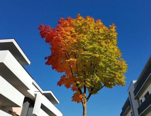 morning picdump 57 pics 3.html - 57 HD Photos | Premium Gallery 2016