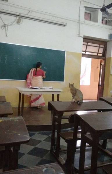 morning picdump 57 pics 3.html - 57 HD Photos | Premium Gallery 2016