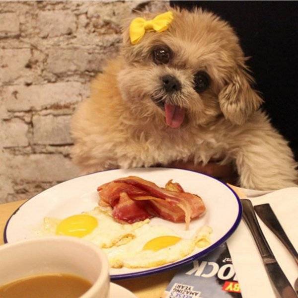 morning picdump 57 pics 3.html - 57 HD Photos | Premium Gallery 2016