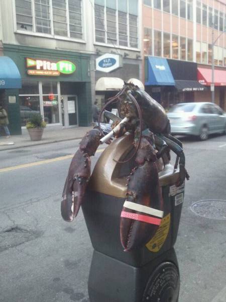 daily picdump 90 pics 24.html - 90 HD Photos | Premium Gallery 2016