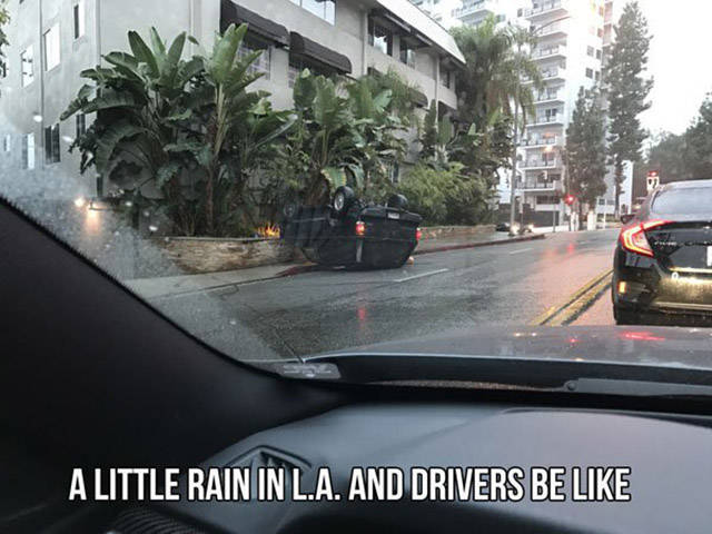 daily picdump 90 pics 24.html - 90 HD Photos | Premium Gallery 2016