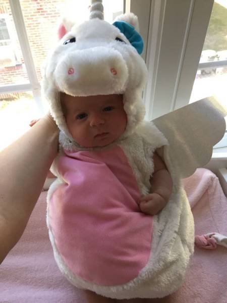 daily picdump 90 pics 24.html - 90 HD Photos | Premium Gallery 2016