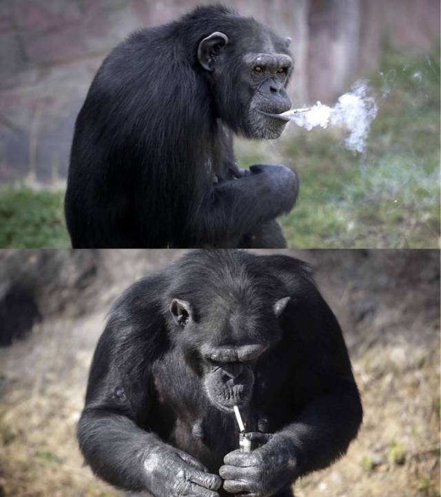 daily picdump 90 pics 24.html - 90 HD Photos | Premium Gallery 2016