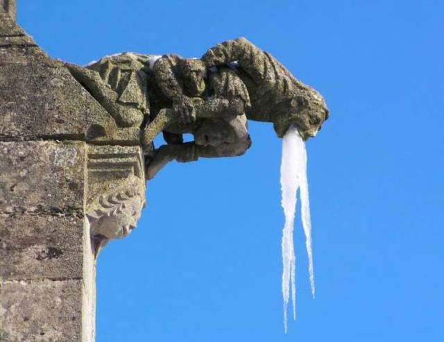 morning picdump 54 pics 4.html - 54 HD Photos | Premium Gallery 2016