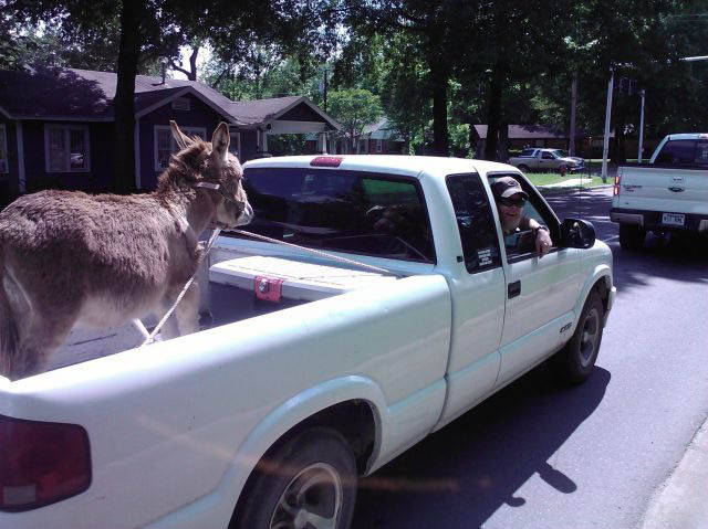 daily picdump 80 pics 3.html - 80 HD Photos | Premium Gallery 2016