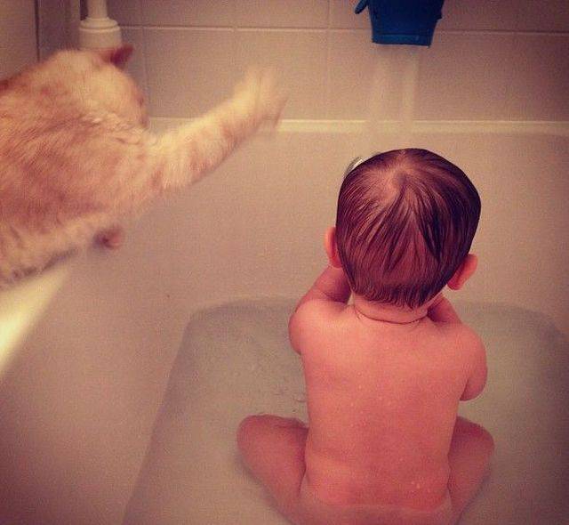 daily picdump 80 pics 3.html - 80 HD Photos | Premium Gallery 2016