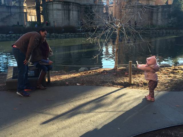 daily picdump 80 pics 3.html - 80 HD Photos | Premium Gallery 2016