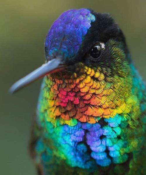 daily picdump 80 pics 3.html - 80 HD Photos | Premium Gallery 2016