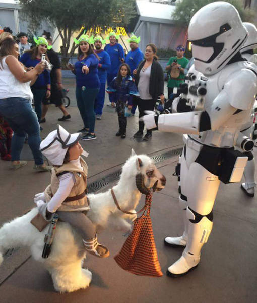 morning picdump 54 pics 9.html - 54 HD Photos | Premium Gallery 2016