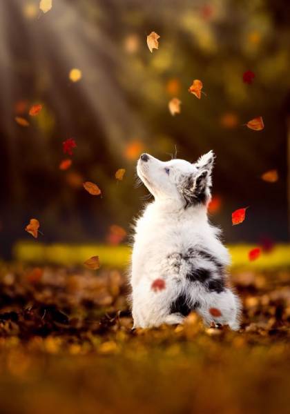 morning picdump 54 pics 9.html - 54 HD Photos | Premium Gallery 2016