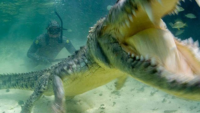 morning picdump 54 pics 12.html - 54 HD Photos | Premium Gallery 2016