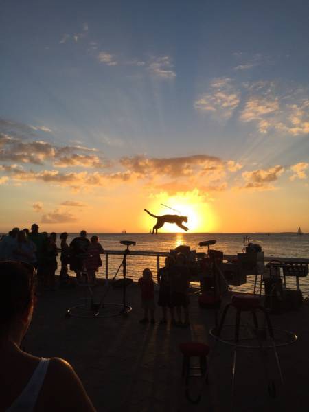 morning picdump 54 pics 12.html - 54 HD Photos | Premium Gallery 2016