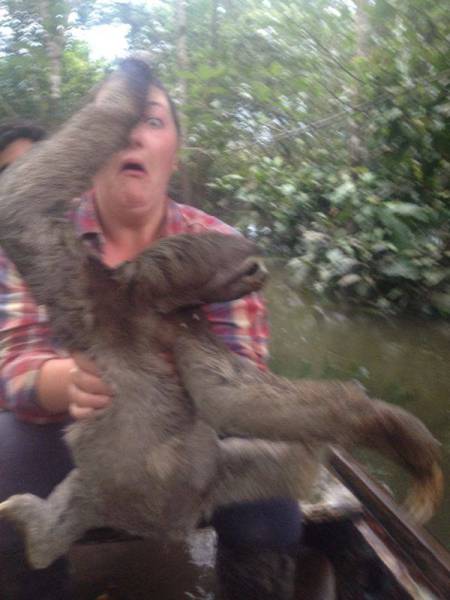 morning picdump 54 pics 12.html - 54 HD Photos | Premium Gallery 2016