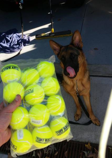 daily picdump weekend edition 54 pics 21.html - 54 HD Photos | Premium Gallery 2016