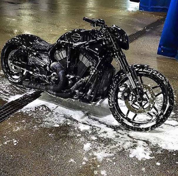 daily picdump 84 pics 25.html - 84 HD Photos | Premium Gallery 2016