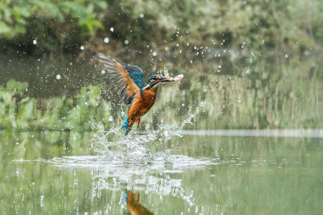 daily picdump 84 pics 25.html - 84 HD Photos | Premium Gallery 2016