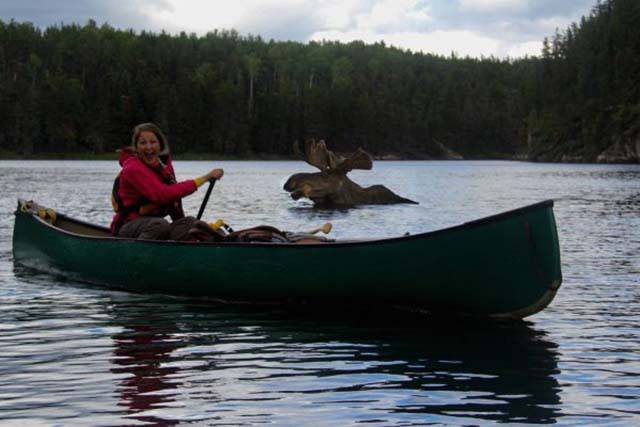 daily picdump 84 pics 25.html - 84 HD Photos | Premium Gallery 2016