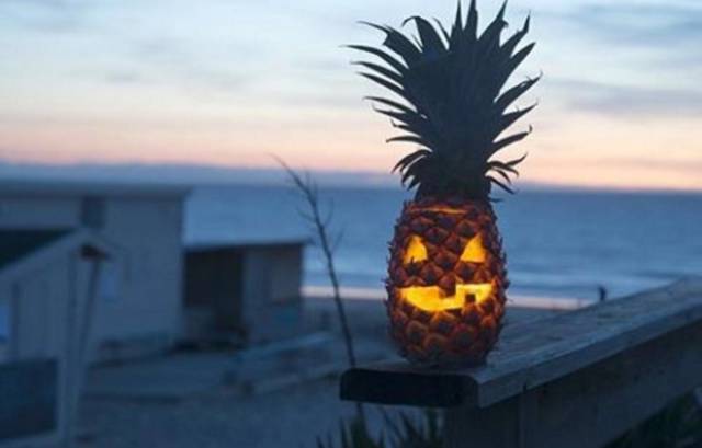 daily picdump 80 pics 2.html - 80 HD Photos | Premium Gallery 2016