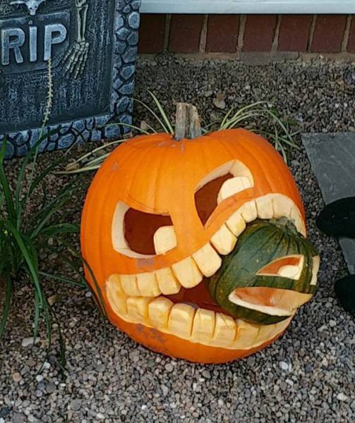 Funny Picdump