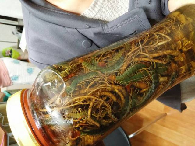 daily picdump 81 pics 39.html - 81 HD Photos | Premium Gallery 2016