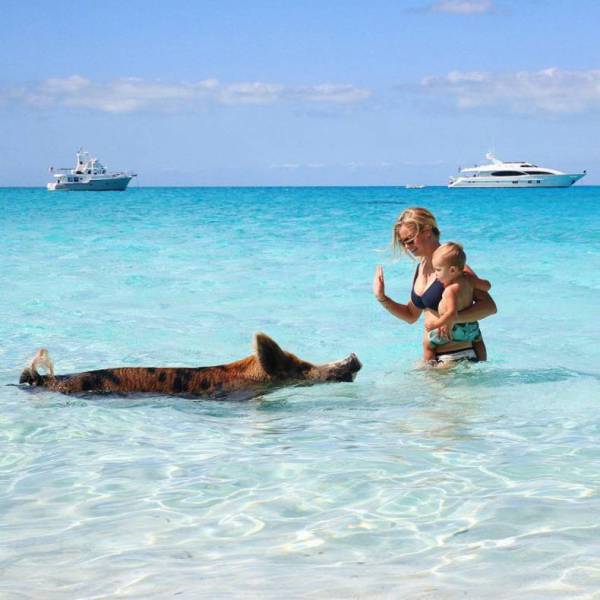 daily picdump 81 pics 39.html - 81 HD Photos | Premium Gallery 2016