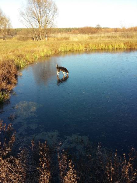 daily picdump 80 pics 14.html - 80 HD Photos | Premium Gallery 2016