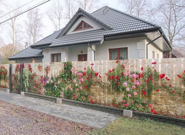 daily picdump 80 pics 14.html - 80 HD Photos | Premium Gallery 2016