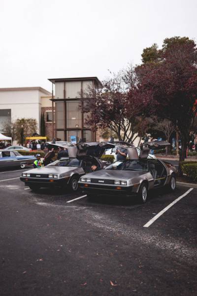 Daily Picdump [WEEKEND EDITION]