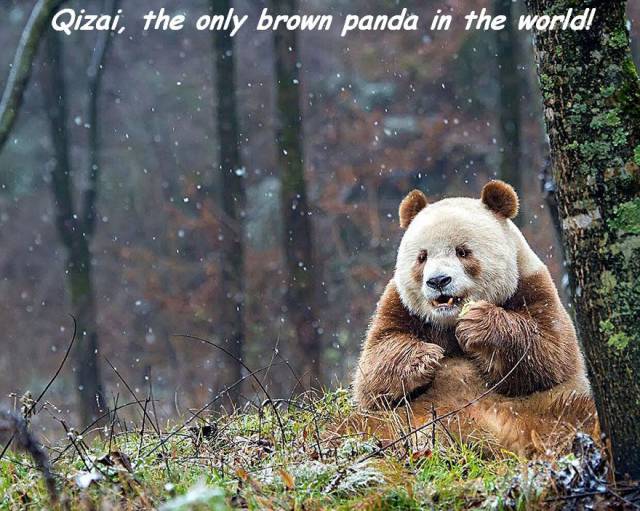 daily picdump 94 pics 39.html - 94 HD Photos | Premium Gallery 2016