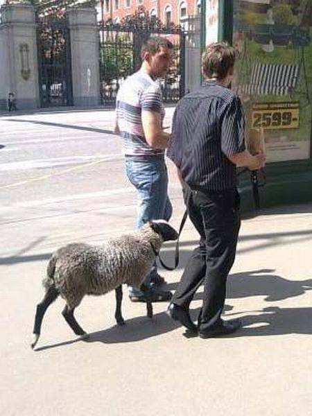 daily picdump 94 pics 39.html - 94 HD Photos | Premium Gallery 2016