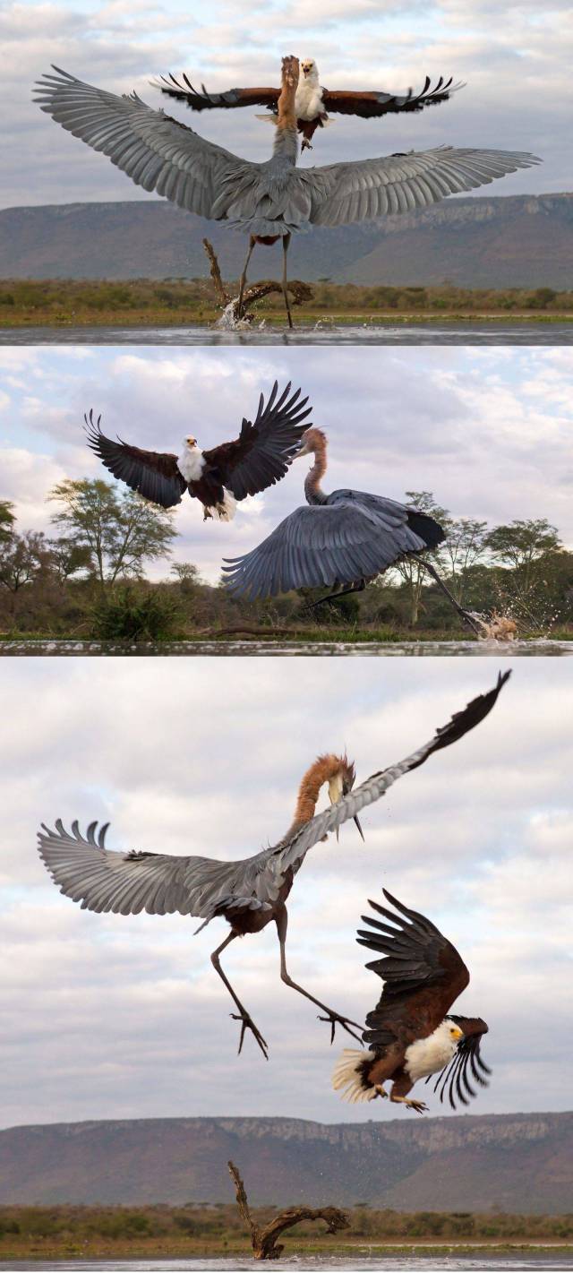 daily picdump 94 pics 39.html - 94 HD Photos | Premium Gallery 2016