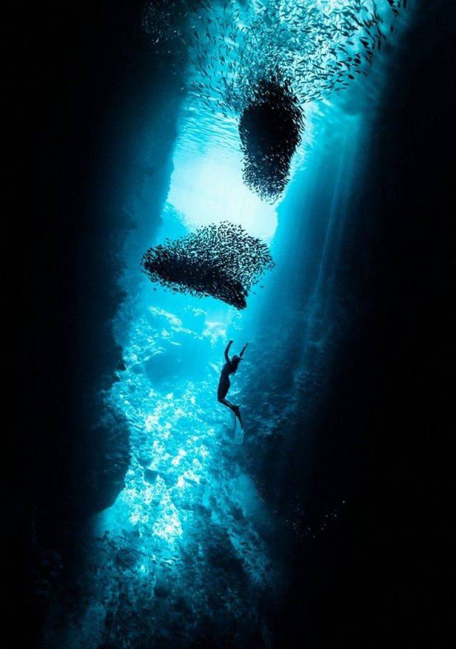 daily picdump 94 pics 39.html - 94 HD Photos | Premium Gallery 2016