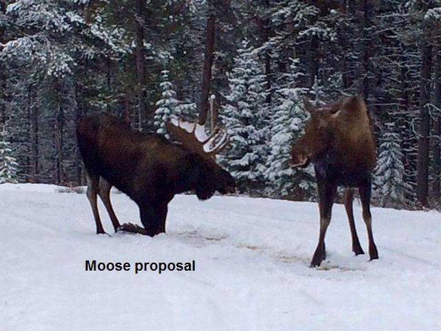 daily picdump 90 pics 32.html - 90 HD Photos | Premium Gallery 2016