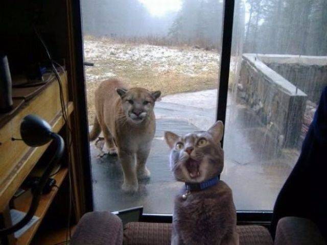 daily picdump 90 pics 32.html - 90 HD Photos | Premium Gallery 2016