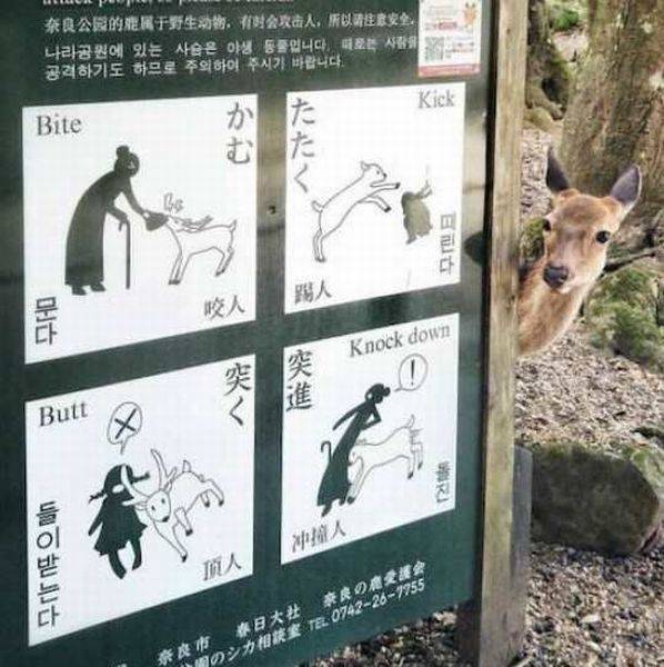 daily picdump 90 pics 32.html - 90 HD Photos | Premium Gallery 2016