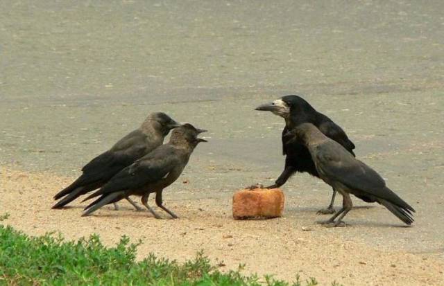 daily picdump 90 pics 21.html - 90 HD Photos | Premium Gallery 2016