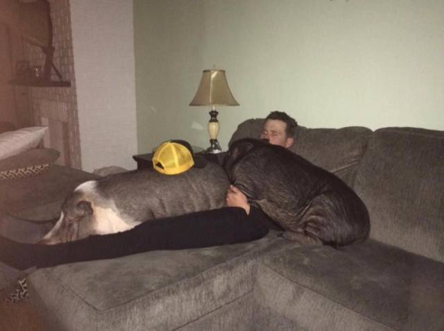 daily picdump 90 pics 21.html - 90 HD Photos | Premium Gallery 2016