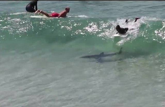 daily picdump 90 pics 21.html - 90 HD Photos | Premium Gallery 2016