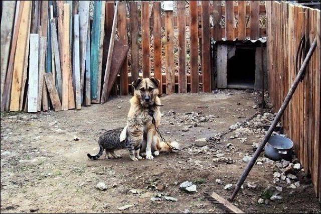 daily picdump 90 pics 21.html - 90 HD Photos | Premium Gallery 2016