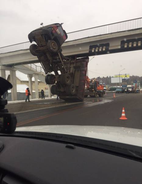 daily picdump 90 pics 21.html - 90 HD Photos | Premium Gallery 2016