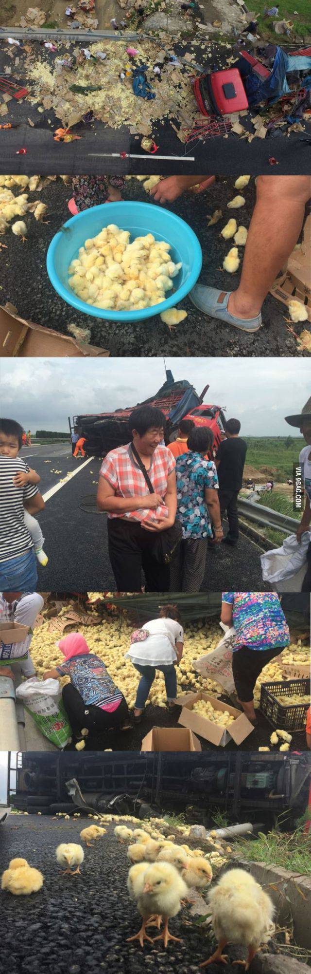 daily picdump 90 pics 21.html - 90 HD Photos | Premium Gallery 2016