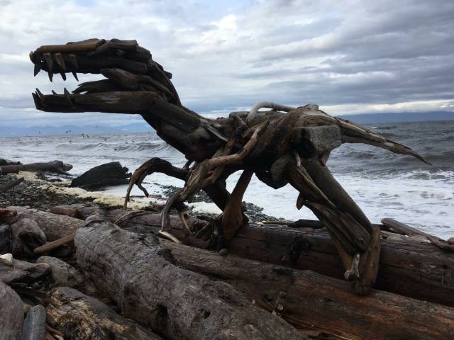 Daily Picdump [WEEKEND EDITION]